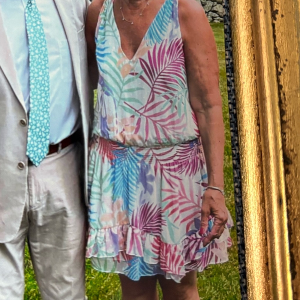 Ramy Brook Dress
